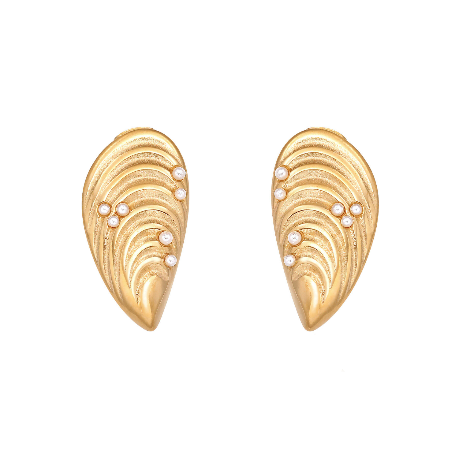 Sea Shell Droplet Stud Earrings